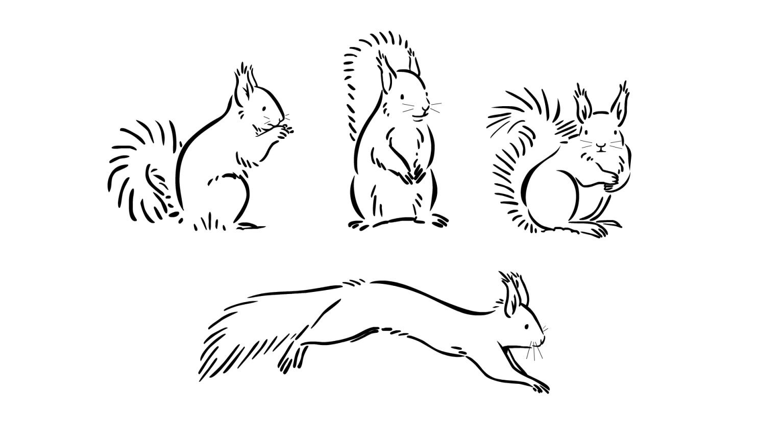 RedSquirrelWIP